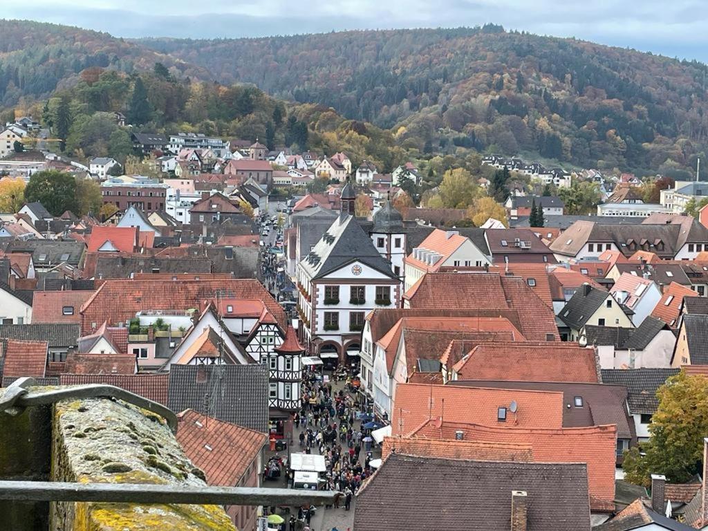 Ferienwohnung Im Springerhof Lohr am Main Luaran gambar
