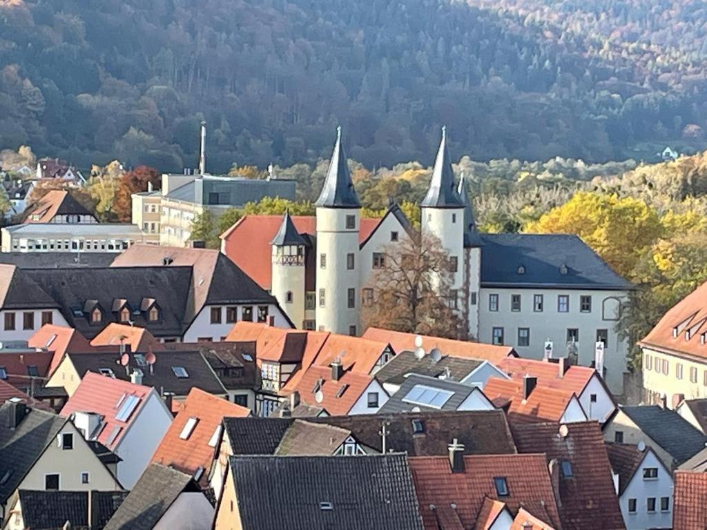 Ferienwohnung Im Springerhof Lohr am Main Luaran gambar